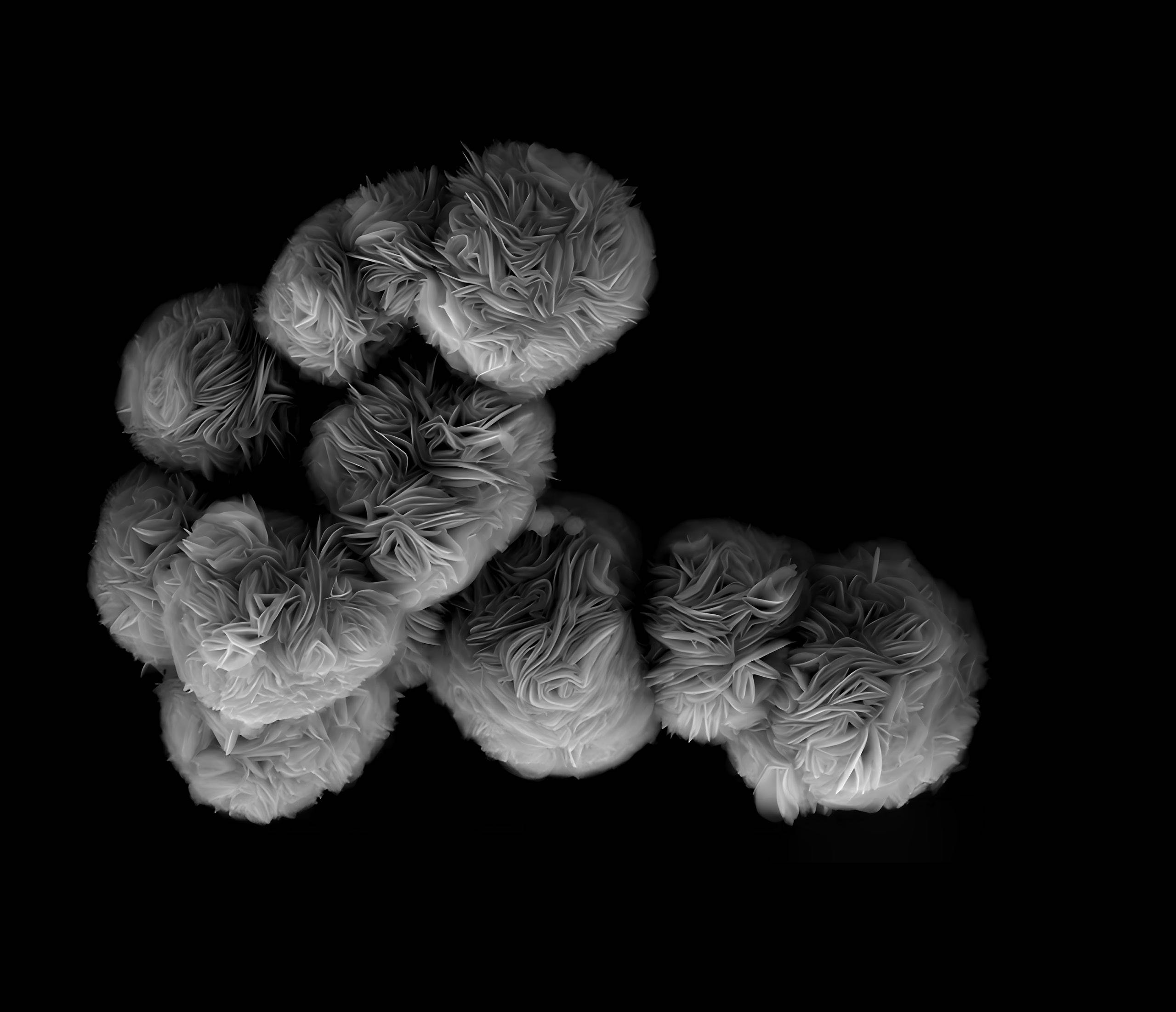 Figure 3. MXenes with flower-like morphologies are formed using a direct synthesis method that utilizes chemical vapor deposition. Figure courtesy of the University of Chicago.