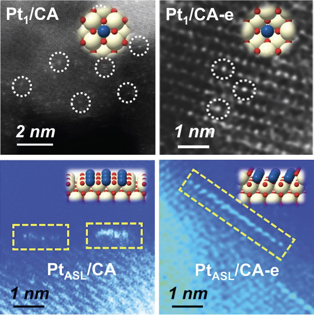 Figure 1. AC-STEM images and structure models as inserted for adsorbed Pt single-atom catalyst (Pt1/CA), embedded Pt single-atom catalyst (Pt1/CA-e), adsorbed Pt atomic single-layer catalyst (PtASL/CA) and embedded Pt atomic single-layer catalyst (PtASL/CA-e) are shown. Figure courtesy of the University of Central Florida.