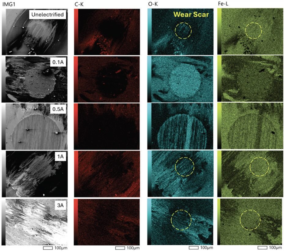 SEM-EDS Mapping of LOUP at different electrified conditions.
