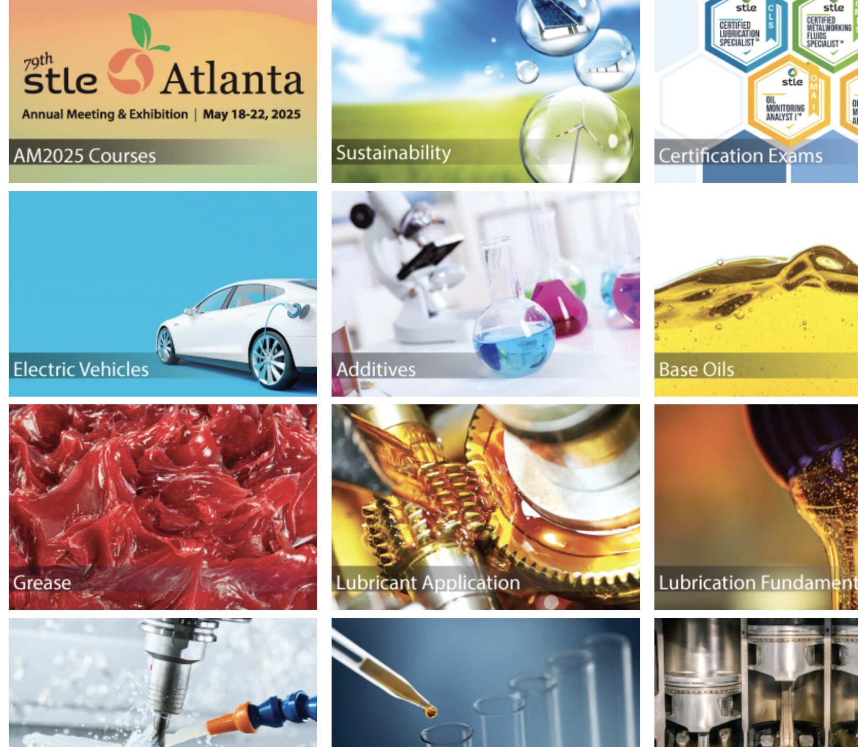 Graphic depicting the contents of the STLE LMS