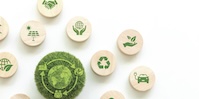 Green symbols of sustainability