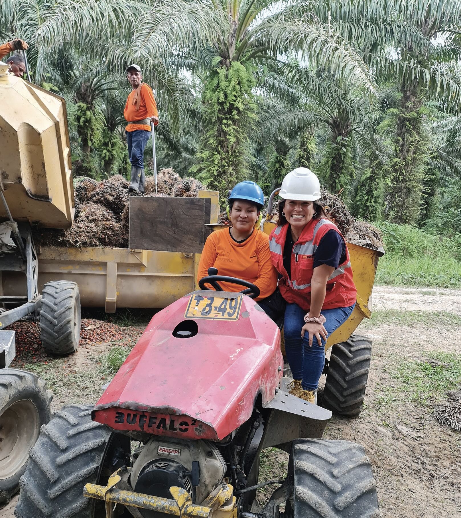 On-site inspection of operating conditions at the Palmas del Espino Palmawasi plantation, assessing key factors that could influence equipment performance and lubrication on the Buffalo tractor.