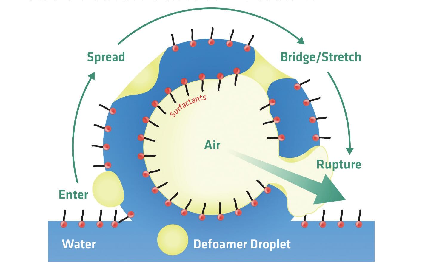 Schematic of foam bubble on top of liquid.