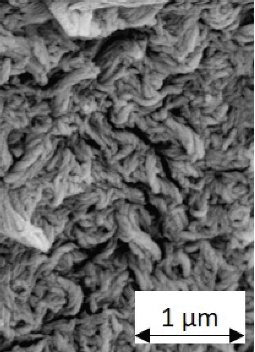 Scanning electron micrograph of a lithium 12-hydroxystearate grease thickener network.