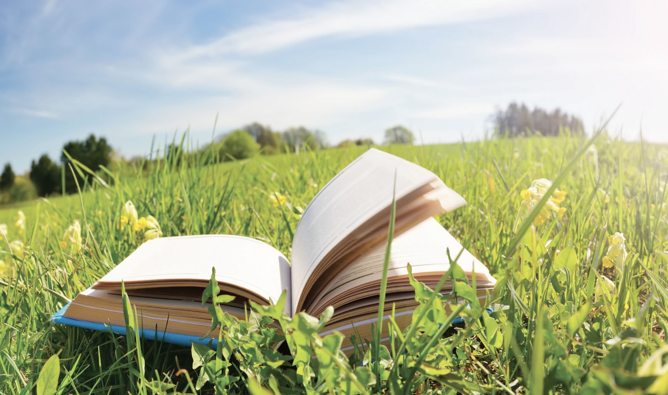 An open book resting in the grass on a sunny day
