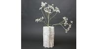 A vase made from a Mycofluid preparation