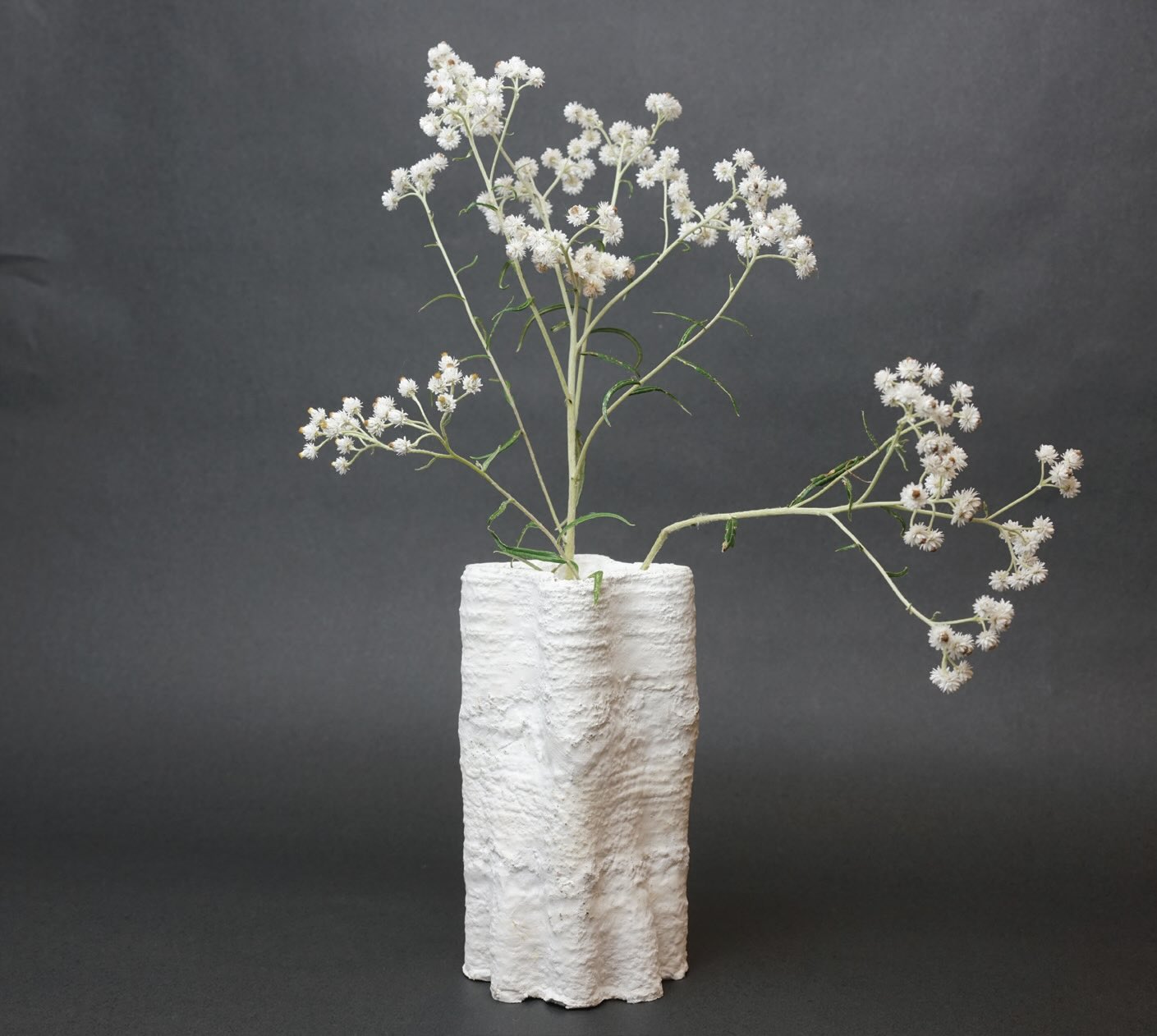  A vase was produced from mycelium through the assistance of a 3D printer.